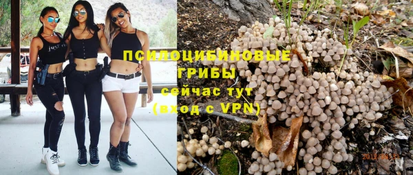 гидропоника Алексин